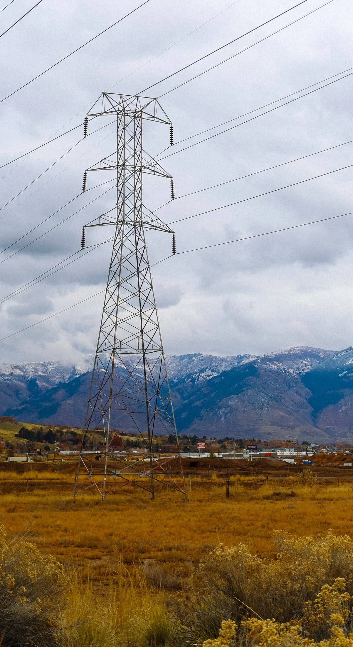 Grid modernization and coordination